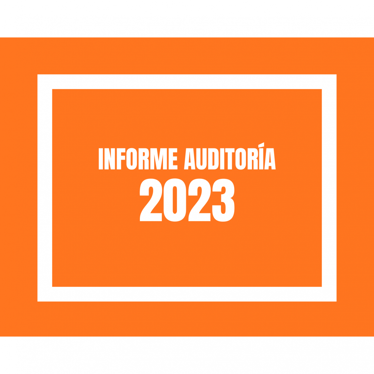 INFORME AUDITORIA 2023