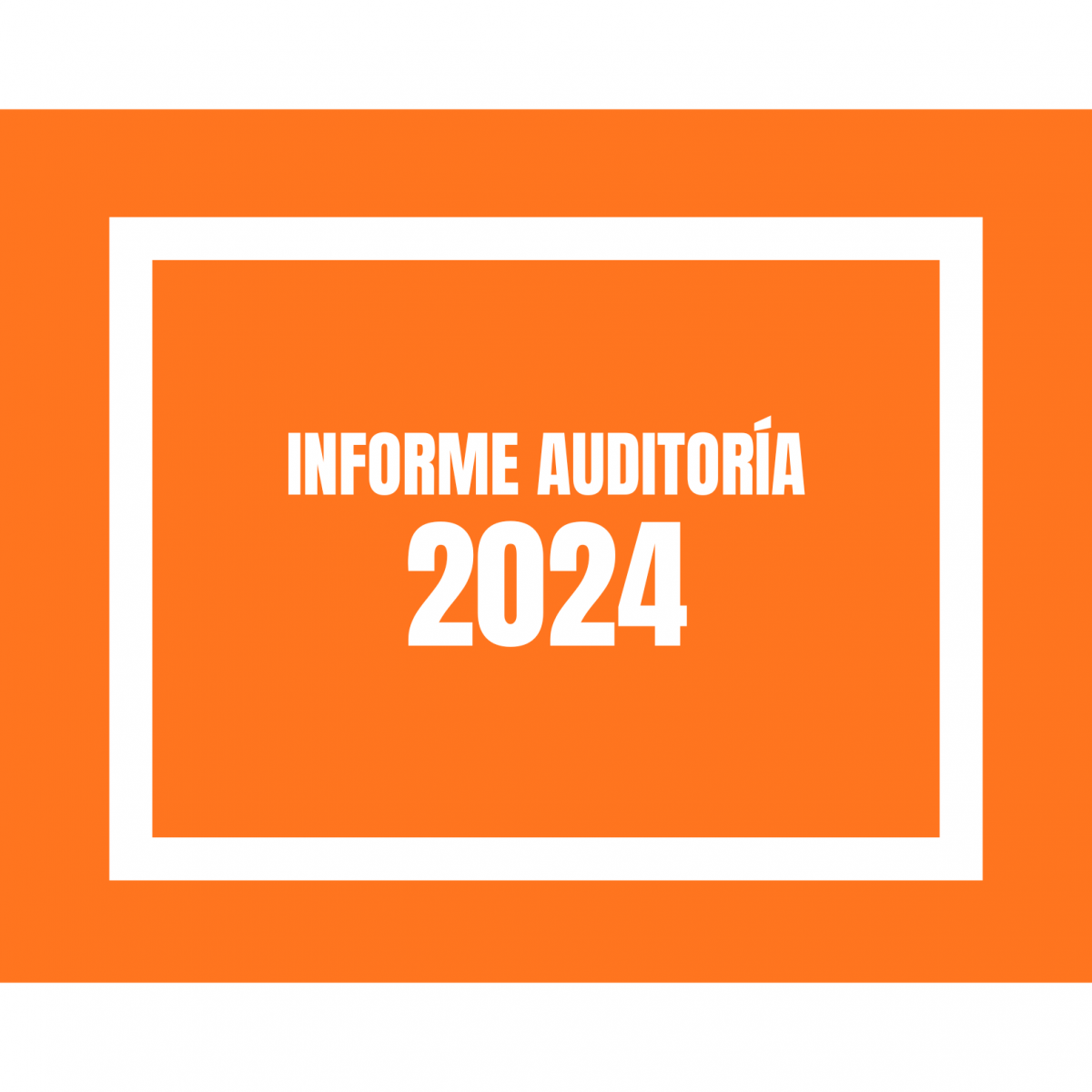 INFORME AUDITORIA 2024