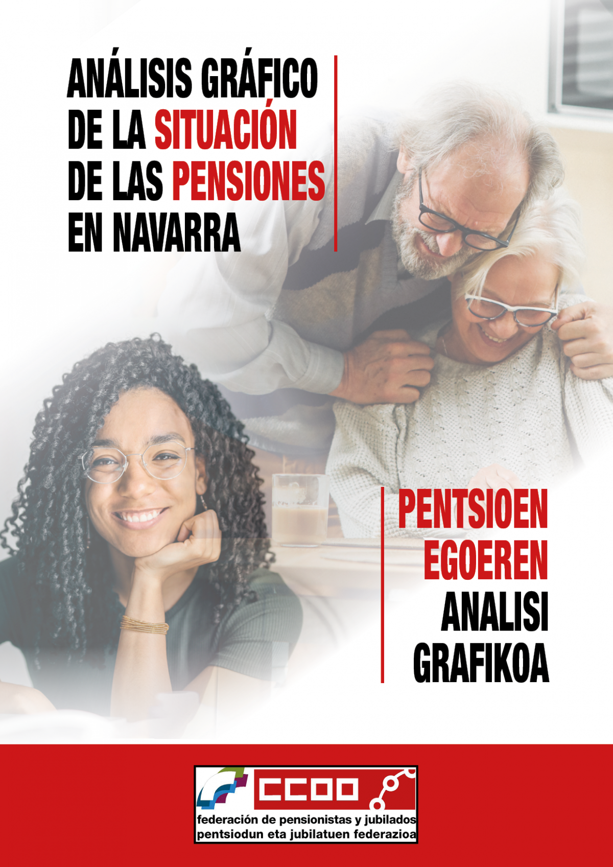 Análisis gráfico de la siuaicón de las pensiones en Navarra