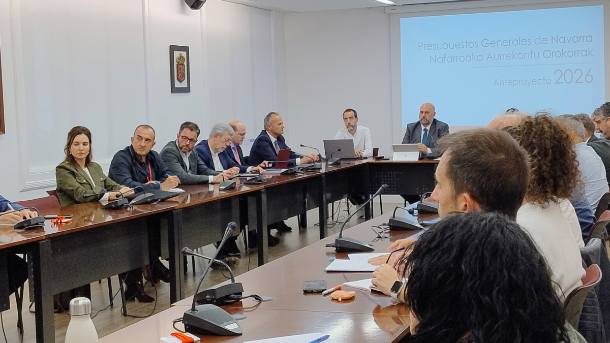 Imagen del CES celebrado hoy (cedida del Gobierno de Navarra).