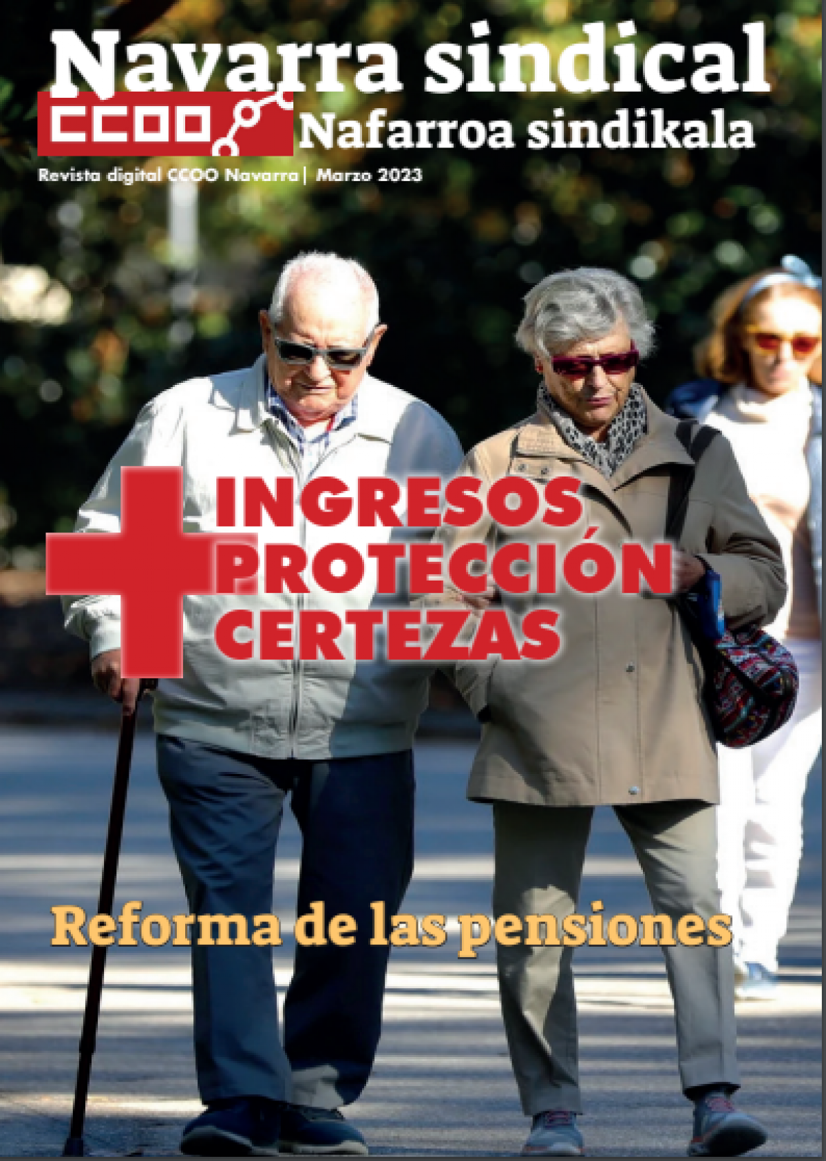 Revista Navarra Sindical