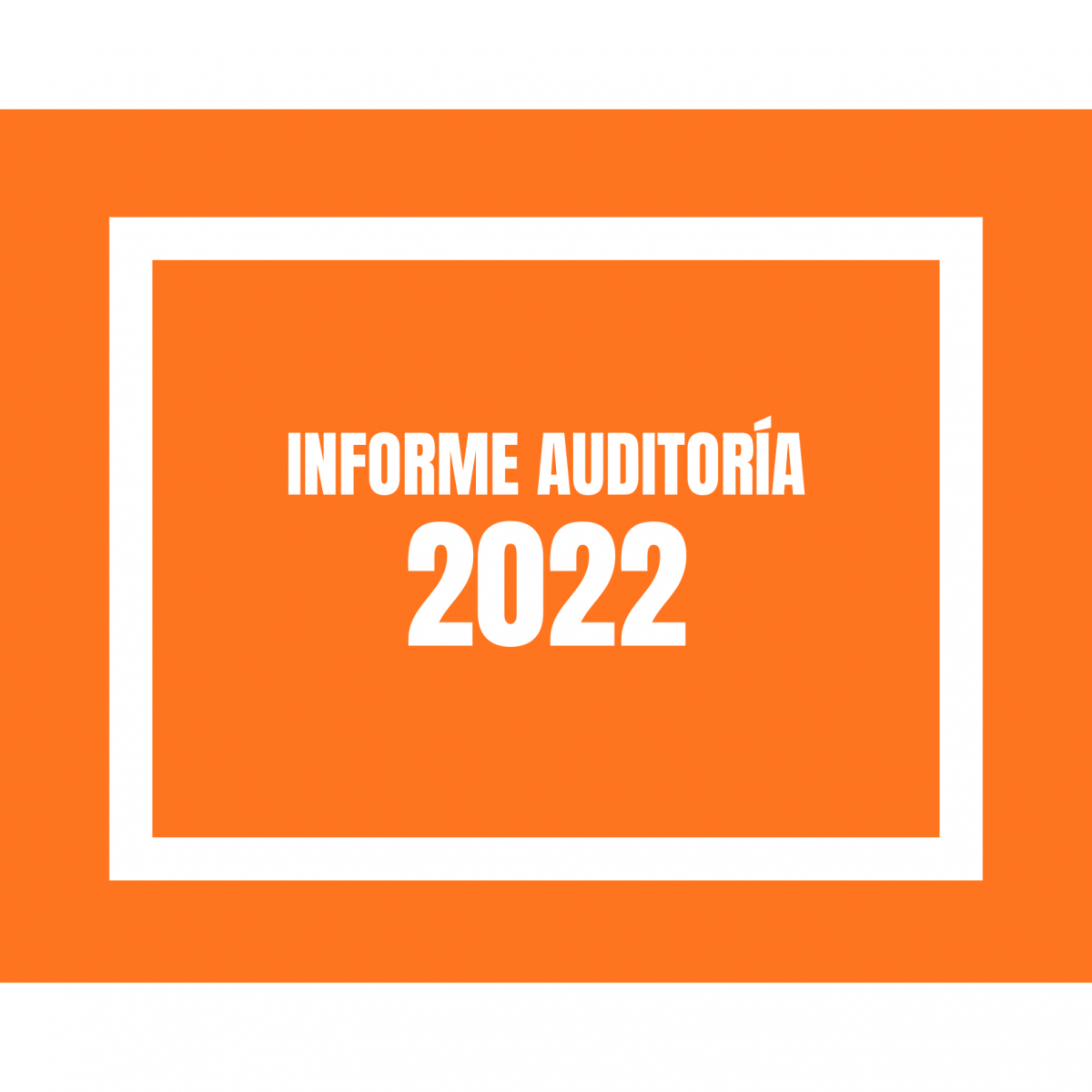 INFORME AUDITORIA 2022