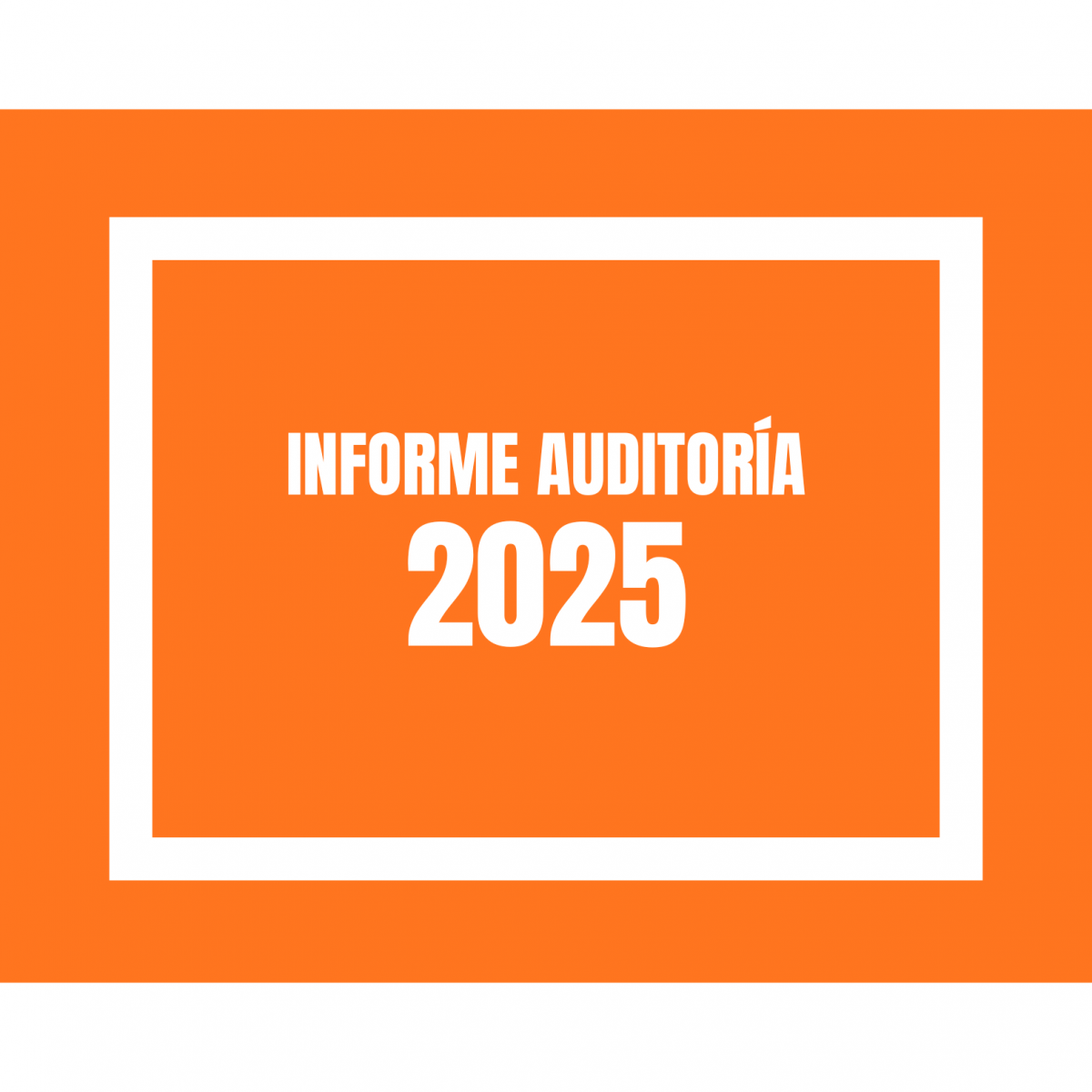 INFORME AUDITORIA 2025