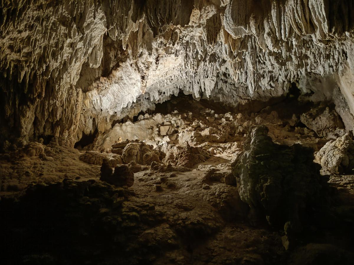 Cuevas de Urdazubi-Urdax