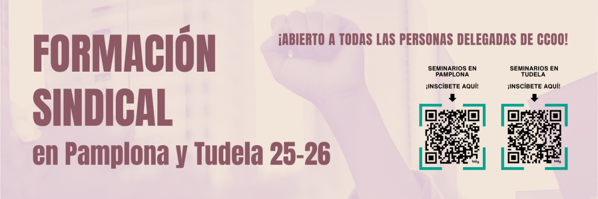 Formacin sindical